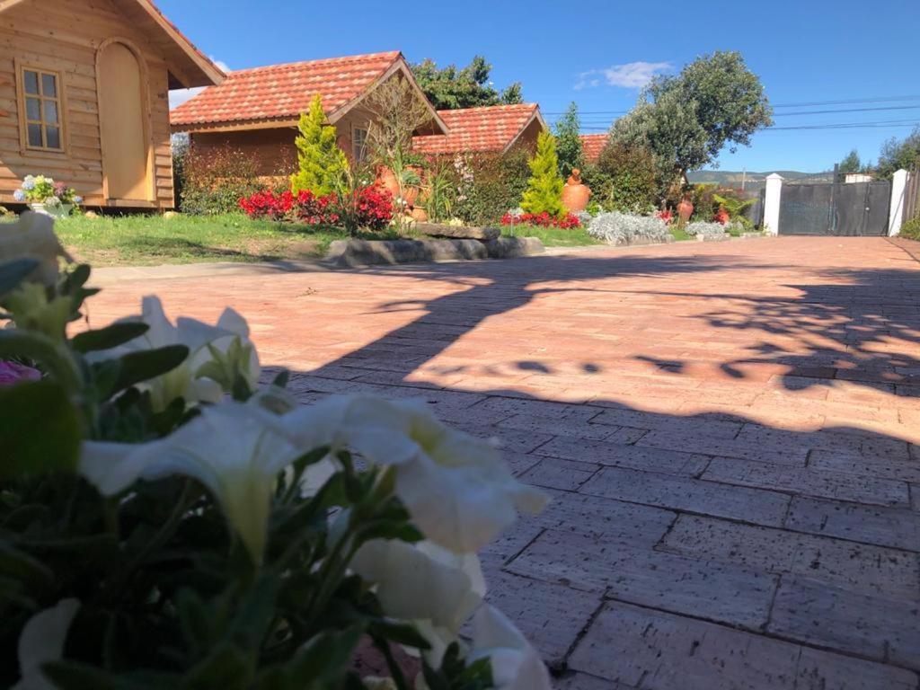 קחיקה Cabanas Villa Isabel מראה חיצוני תמונה